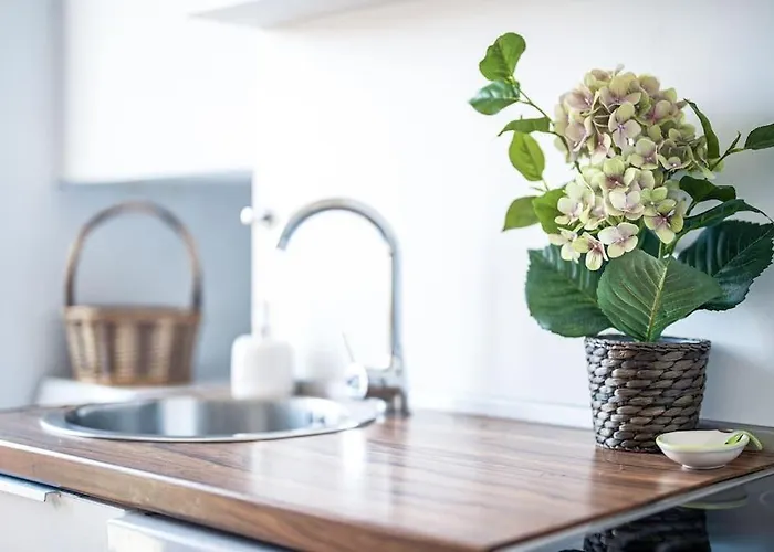 アパート 2bd Next To Vitosha Bul. *